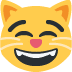 :smile_cat: :smile_cat: